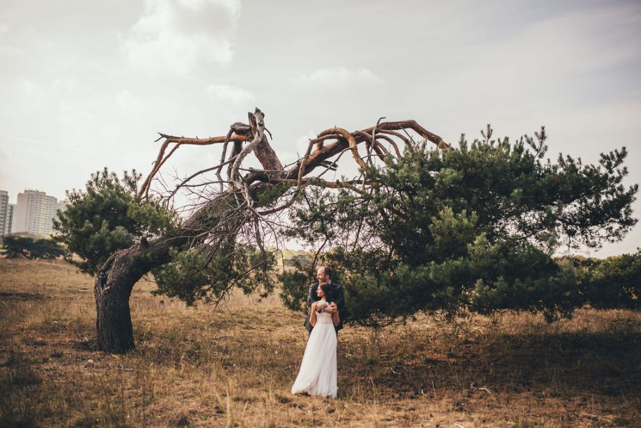 professionelle Hochzeitsfotos AleaHorst 0502 36877dde
