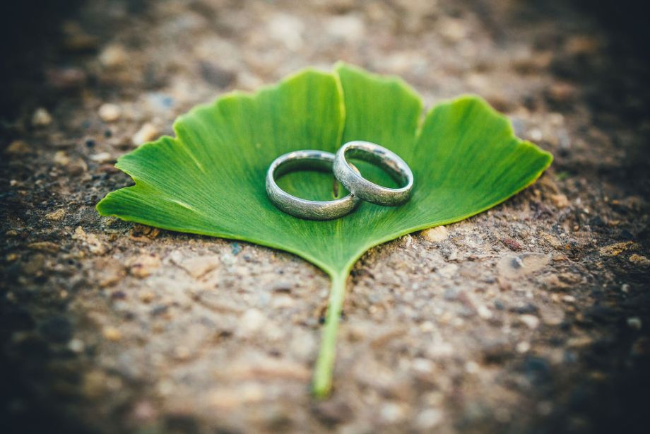 preisgekroente Hochzeitsfotografien AleaHorst 50 75a8eace