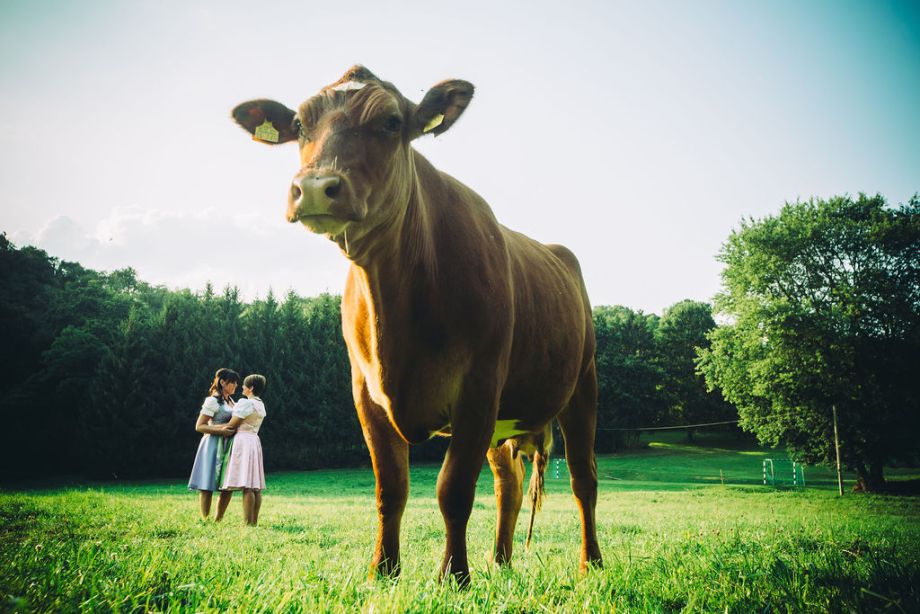hochzeitsfotos AleaHorst 13 a18ac9ba