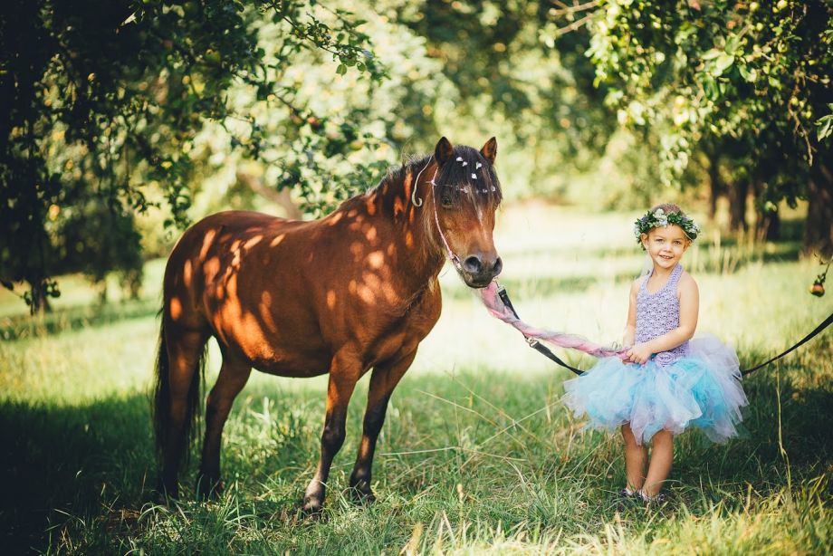 ponytag0002 bfd6fd51
