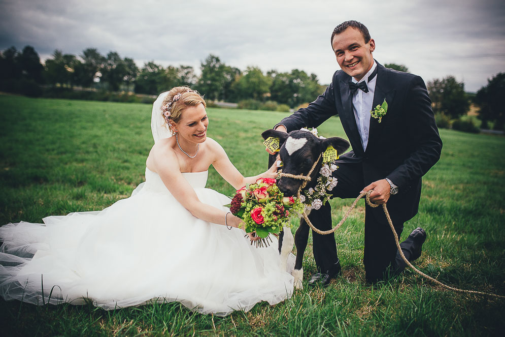 hochzeit-katzenelnbogen-kuh